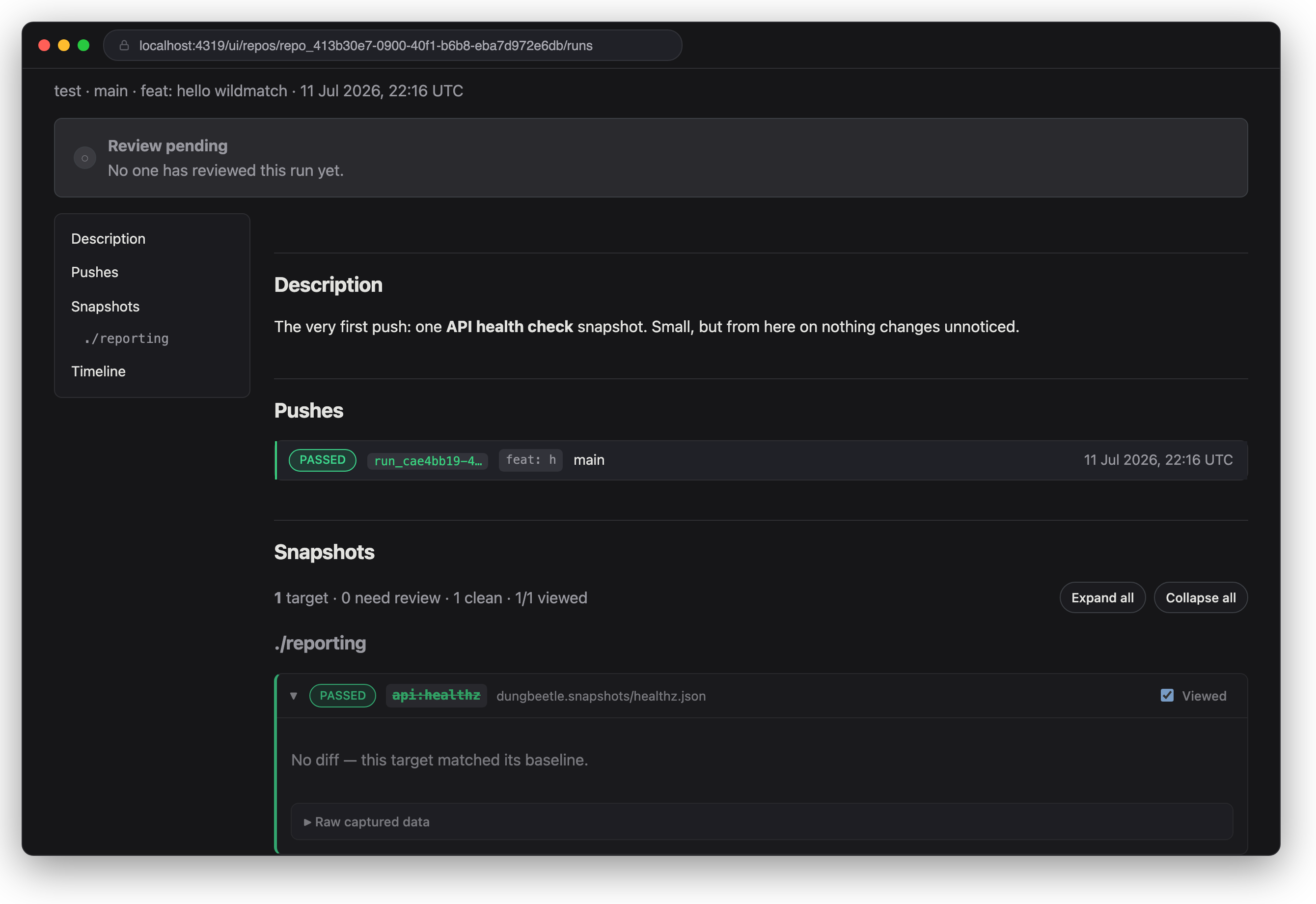 Stage 1 in the review UI — one green api target, the very first run.